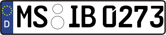 MS-IB0273