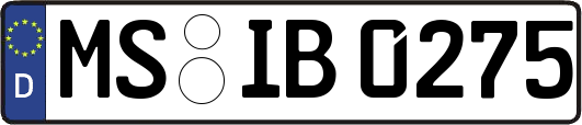 MS-IB0275