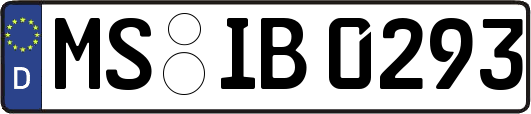MS-IB0293