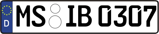 MS-IB0307