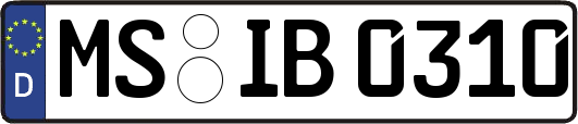 MS-IB0310