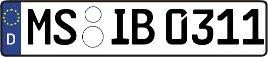 MS-IB0311