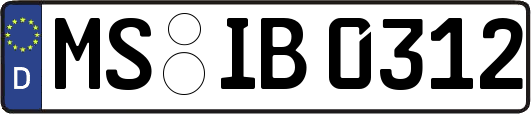 MS-IB0312