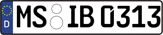 MS-IB0313