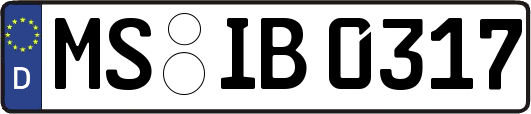 MS-IB0317