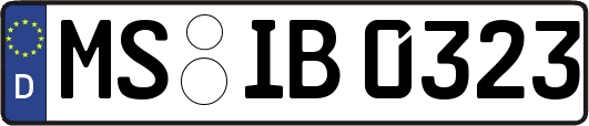 MS-IB0323
