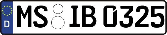 MS-IB0325