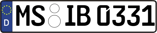 MS-IB0331