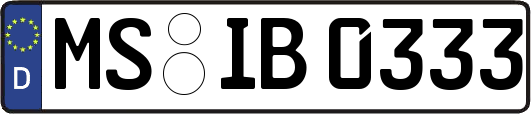 MS-IB0333