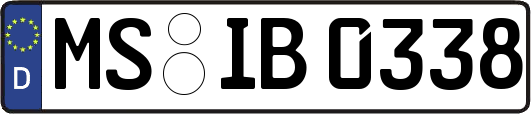 MS-IB0338