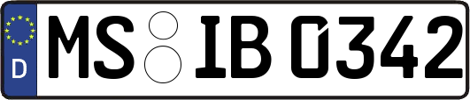 MS-IB0342