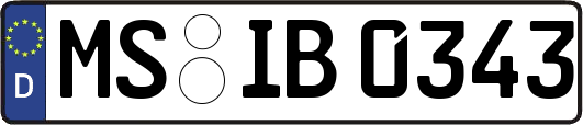 MS-IB0343