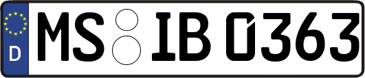 MS-IB0363