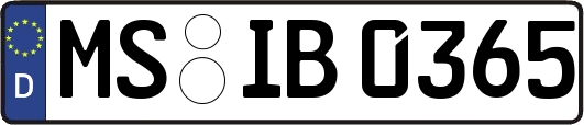 MS-IB0365