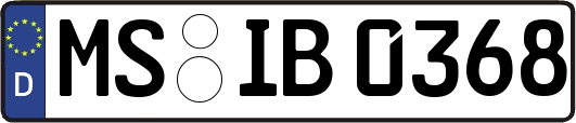 MS-IB0368