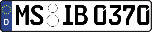 MS-IB0370