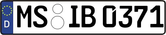 MS-IB0371