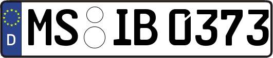 MS-IB0373