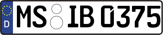 MS-IB0375