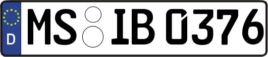 MS-IB0376