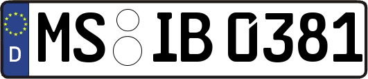 MS-IB0381