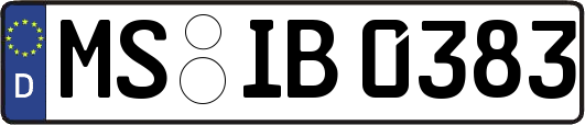 MS-IB0383