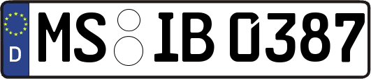 MS-IB0387