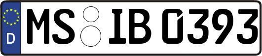 MS-IB0393