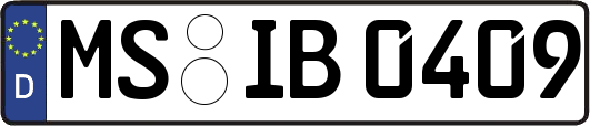 MS-IB0409