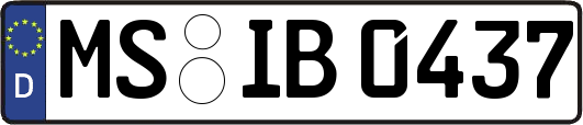 MS-IB0437