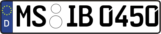 MS-IB0450