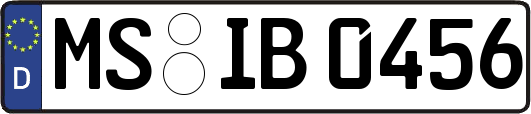 MS-IB0456