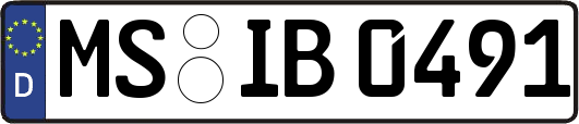 MS-IB0491