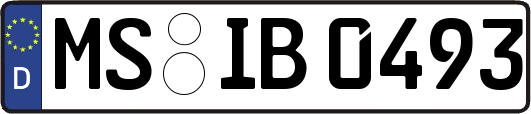 MS-IB0493