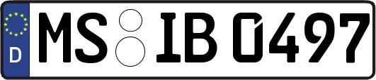 MS-IB0497