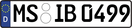 MS-IB0499