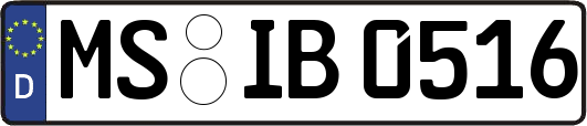 MS-IB0516