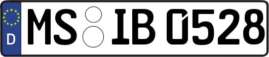 MS-IB0528