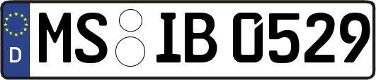 MS-IB0529