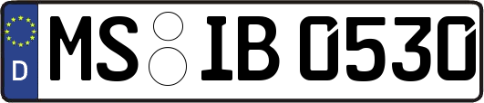 MS-IB0530