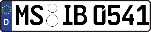 MS-IB0541