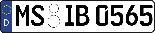 MS-IB0565