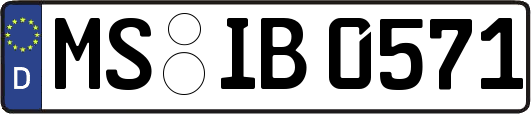 MS-IB0571