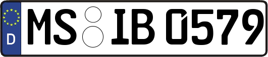 MS-IB0579