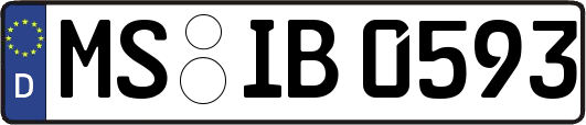 MS-IB0593