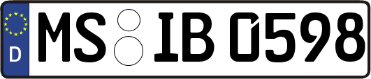 MS-IB0598