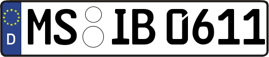 MS-IB0611
