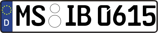 MS-IB0615