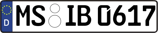MS-IB0617