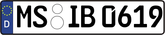 MS-IB0619